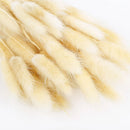100pcs/set Dried Rabbit Tail Grass Flowers Home Desktop Decorative Eternal FlowersArtificial Plant DIY Bouquets Wedding Party