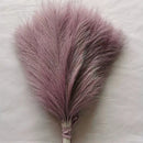 Grama Pampas Artificial Boho – Decoração para Casa e Casamentos