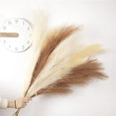 10pcs Fluffy Pampas Grass Artificial Simulation Plant Flowers  for Wedding Boho Bouquet Home Party Decoration Reed Floral Decor