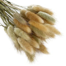 100pcs/set Dried Rabbit Tail Grass Flowers Home Desktop Decorative Eternal FlowersArtificial Plant DIY Bouquets Wedding Party